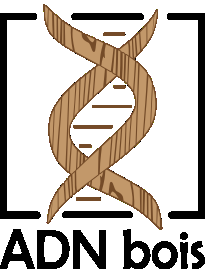 ADN Bois